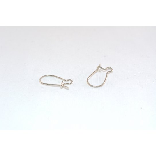 Earring hook