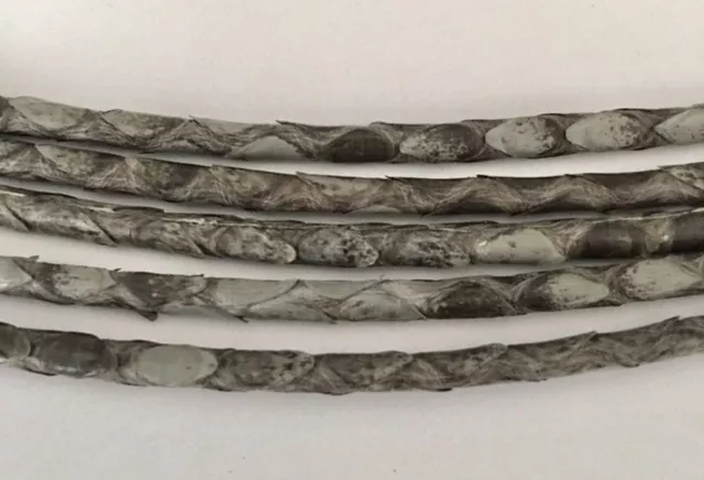 Véritable Python 3 mm rond-Pour la Joaillerie - Gris