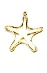 Etoile de mer en laiton doré émaillé - Perle